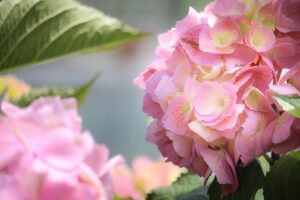 体験セッションの感想